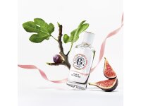 Fleur de Figuier