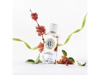 Fleur d'Osmanthus