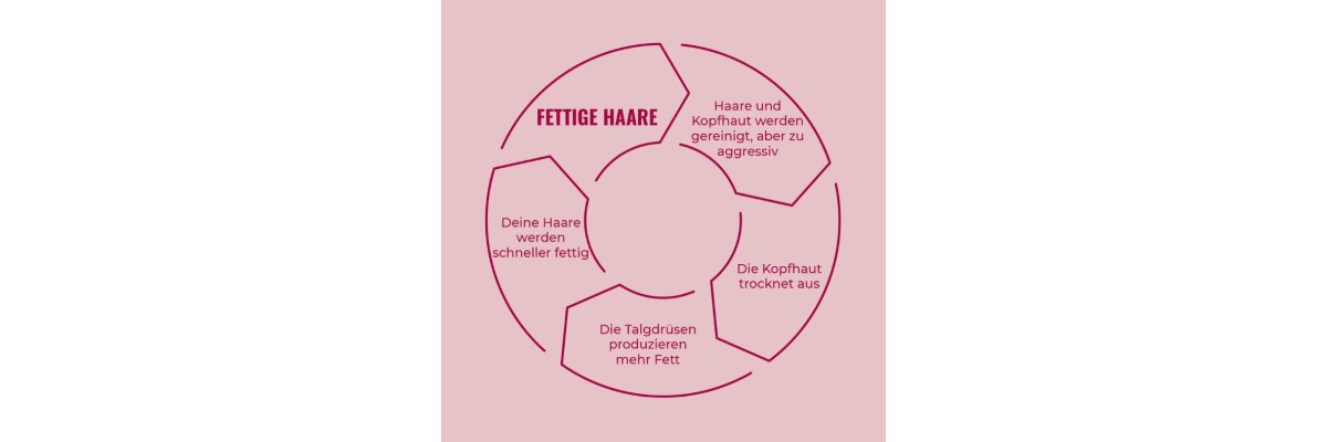 Warum stetig Fettige haare?  - 