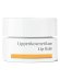 Hauschka Lippenkosmetikum 4,5ml