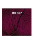 Directions 01 Dark Tulip 100ml