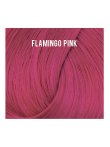 Directions 07 Flamingo Pink 100ml
