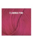 Directions Flamingo Pink 100ml