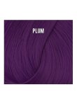 Directions Plum 100ml