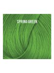 Directions 18 Spring Green 100ml