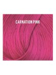 Directions Carnation Pink 100ml