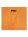Directions Apricot 100ml