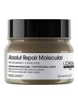 Loreal SE Absolut Repair Molecular Mask 250ml