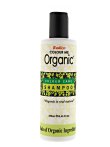 Radico Organic Colour Shampoo 250ml