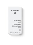 Hauschka Lip to Cheek 04 gold