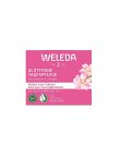Weleda Wildrose & Weißer Tee Glättende...