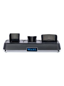 Wahl Power Station